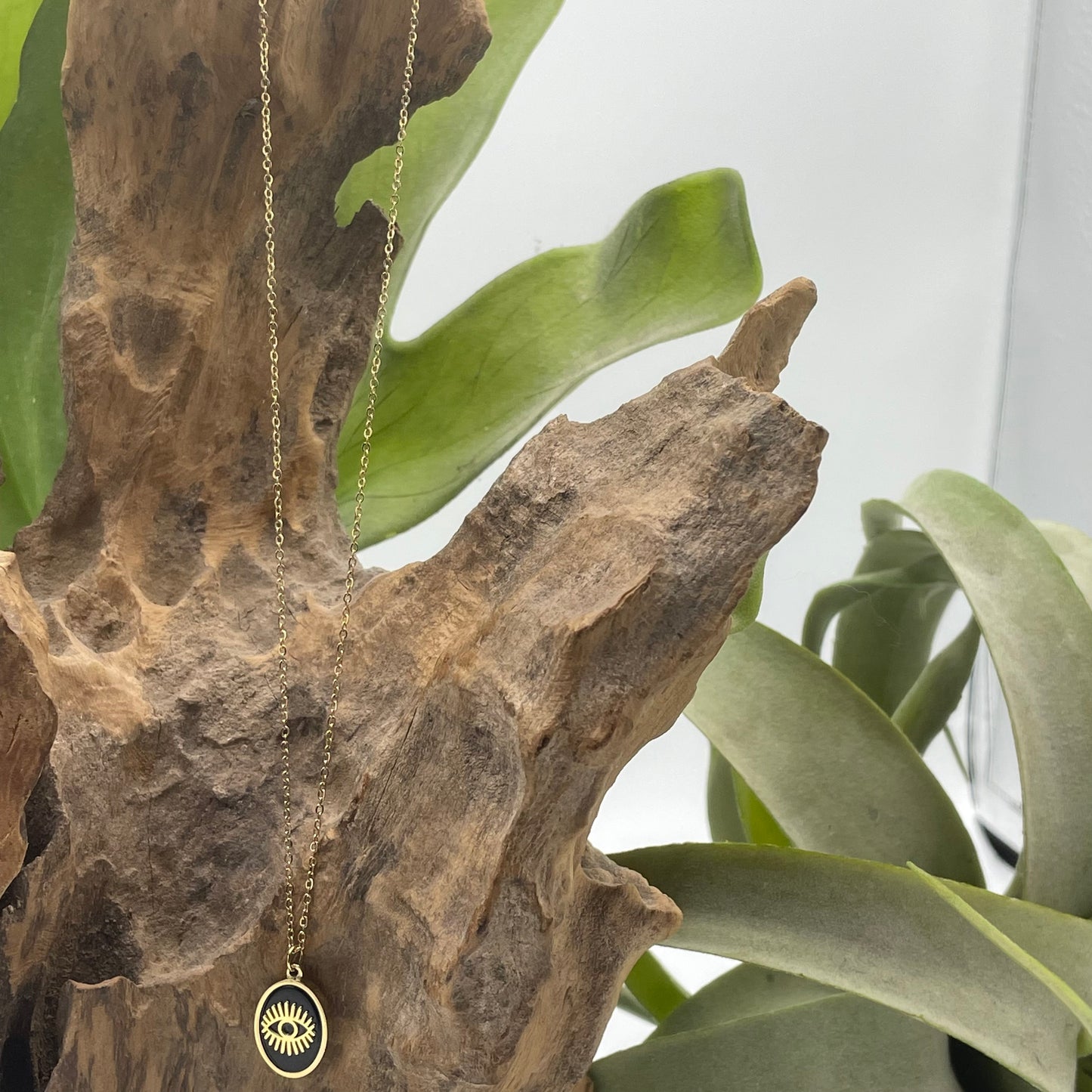 CATENINA CALYPSO