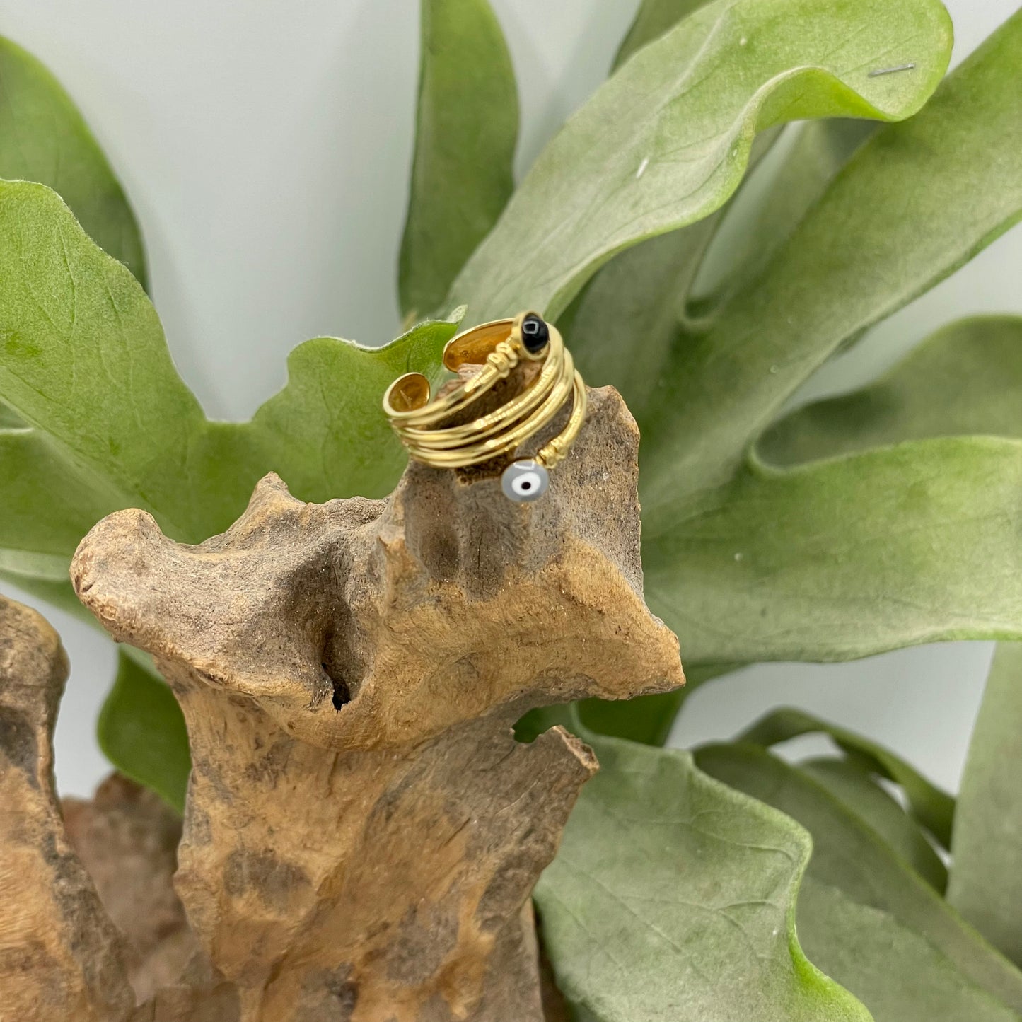 ANELLO MAREA