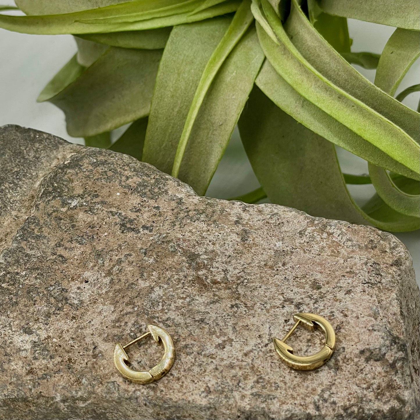 ORECCHINI CERCHIO OMEGA