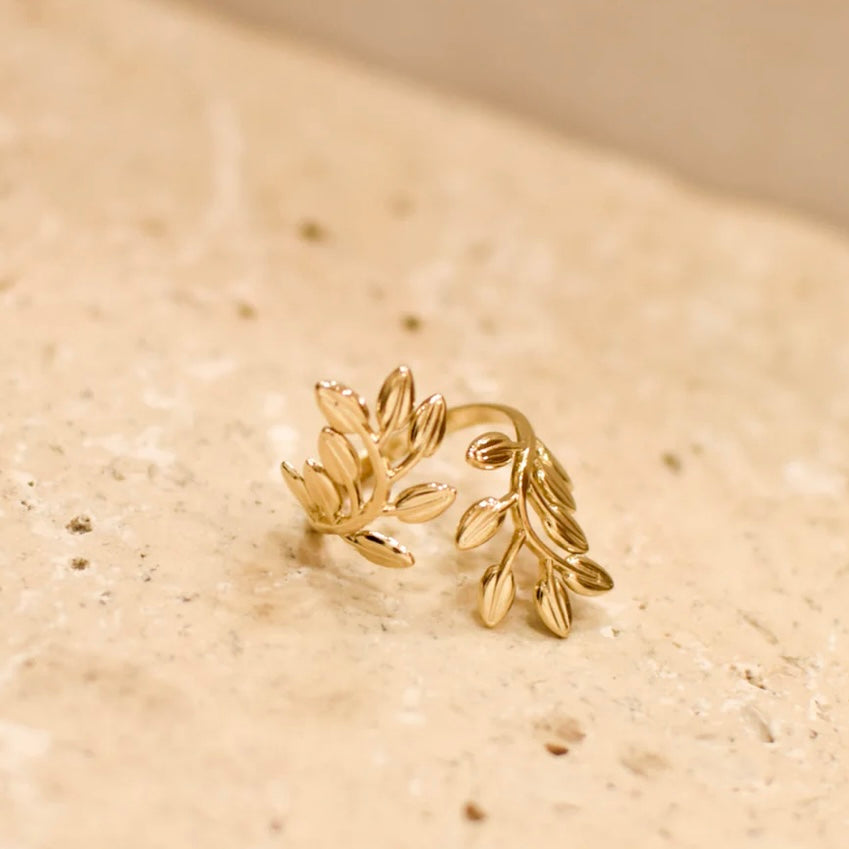 ANELLO IRIS