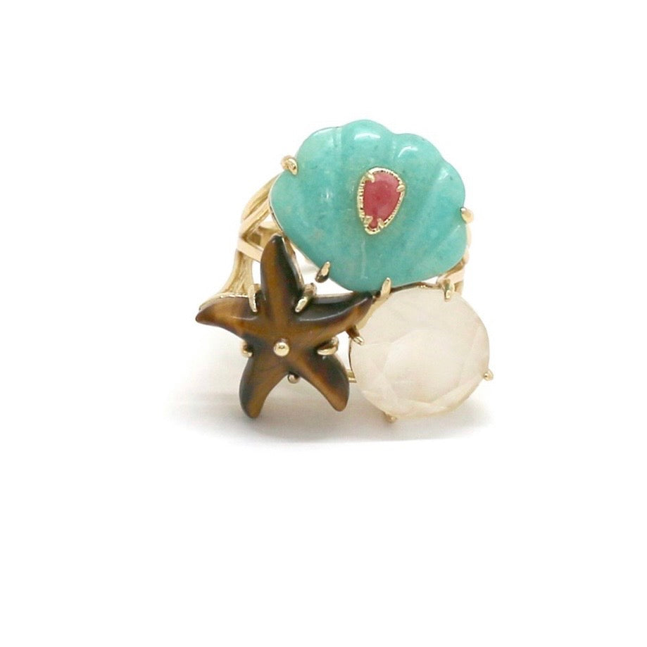 ANELLO LEMER