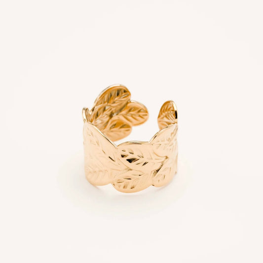 ANELLO FOELLIE